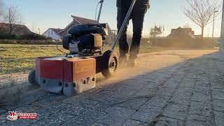 Easily remove  weeds and moss from paving stones and walkways