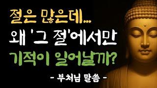 자식 운명 바꾸는 기도 성지 5곳, 기적처럼 열리는 이유 | 부처님 말씀 | 부처님 법문 | 절 추천 | 삶의 지혜 | 불교 성지