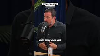 Effort Equals Dopamine - #theovon w/ Huberman