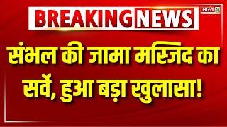 Sambhal Jama Masjid Survey : Sambhal Masjid के Survey में क्या हुआ खुलासा ? Uttar Pradesh News |News