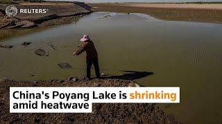 China's Poyang Lake is shrinking amid heatwave