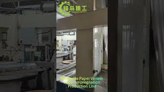 Melamine Paper Veneer Paper Impregnation Resin Production Line Paper Impregnated Line