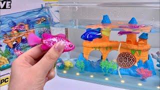 [toy asmr] Zuru Robo Alive Aquarium Playset ASMR Satisfying with Unboxing No Talking | Review Toys