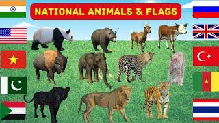 National Animals of Countries with Flag  | National animals of the World | List of national animal