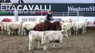 2015 NCHA OPEN CHAMPION FUTURITY VERONA FIERACAVALLI