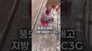 뚱보균 없애고 지방태우는 이거 드세요!
