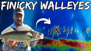 5 Tips for Finicky Walleyes | How to Catch Walleyes During the Dog Days