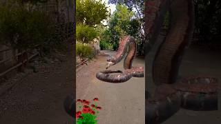 Anaconda V's got attack #vfx #3d #ytshorts #shorts #viralvideo #2024