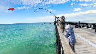 BIG Ones on This GULF Pier!