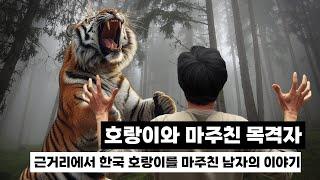 한국 야생 호랑이를 코앞에서 마주친 남성이 있다!? | 2000.08 경상북도 김천시 호랑이 목격담