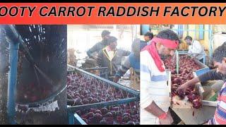 OOTY Carrot Raddish Factory | Tourist Places #ootytour #ootytrip #maniblog #nationalwoodstv