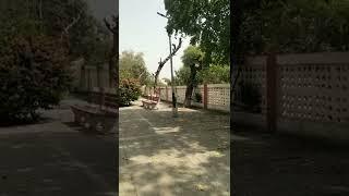 Phagwara Railway Station #shorts #phagwara #indianrailways #irctc #irctcshare subscribe this channel