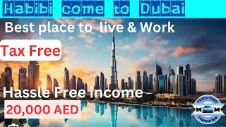 Used Car Business in Dubai| Best Country to Live & Work|Used Luxury Car Business in UAE|