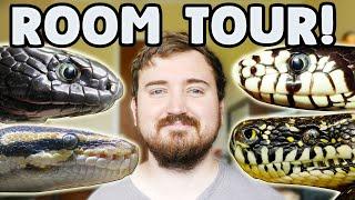 Reptile Room Tour & Feeding All My Pets!