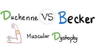 Duchenne Muscular Dystrophy (DMD) vs. Becker Muscular Dystrophy (BMD) - Muscle Weakness