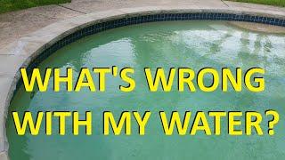 How To Check Swimming Pool Water Quality?