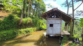 Lestari Kampungku Lestari Desaku,Kampung Unik Campernik Yang Menarik, Bikin Adem,Pedesaan Jawa Barat