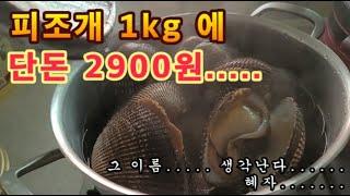 피조개 1kg 에 2900 원 실화?!?!...