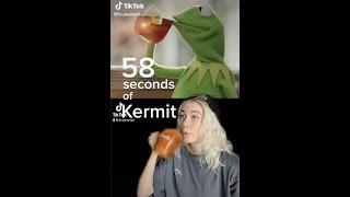 58 seconds of Kermit the Frog being recklessly angry.