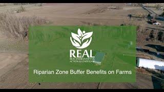 Riparian Zone Buffer Benefits on Farms