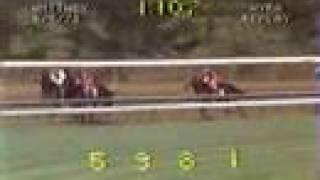 Alydar - 1978 Whitney Stakes