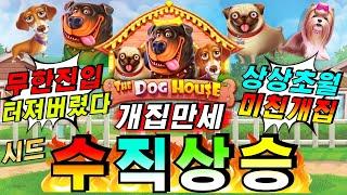 [완득슬롯] 더 도그 하우스 : The Dog House근본바닥게임이거든요~!#슬롯생방송 #온라인슬롯 #프라그마틱슬롯 #슬롯실시간