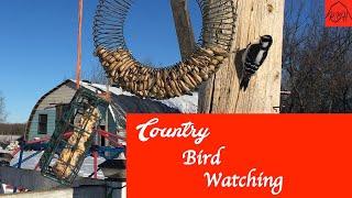 Red Barn Homestead presents Country Bird Watching (50% small birds/50% Wood Peckers).