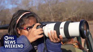 Meet the 10-year-old winning international acclaim for her wildlife photography