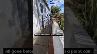 Choose quality. Choose PAINT TIGERS.