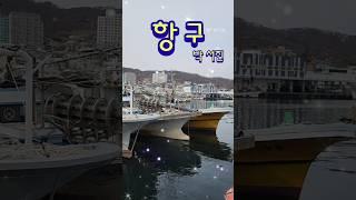 #항구 박서진 역시 #박서진 감정깊이 심해급~ #감포항구  #경주감포항