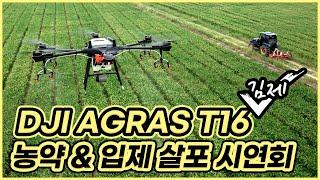 DJI AGRAS T16 농약 & 입제 살포 시연회 in 김제