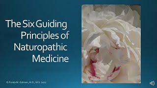 The Six Guiding Principles of Naturopathic Medicine