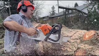 STIHL MS500i - World’s 1st Fuel Injected Chainsaw