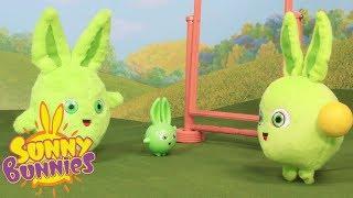 Toyplay for Children | SUNNY BUNNIES - DOUBLE TROUBLE | Funny Cartoons For Children