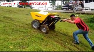 BY250 ANT mini dumper BY250