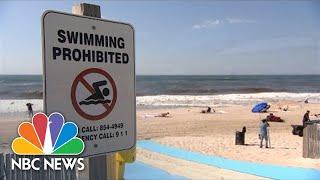 Two People Bitten By Sharks In Separate Incidents At Long Island Beaches