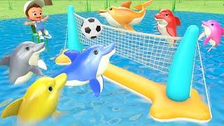 Learn Colors with Baby Color Dolphins: Volleyball Water Sports for Kids in the Pool! 3D Educational