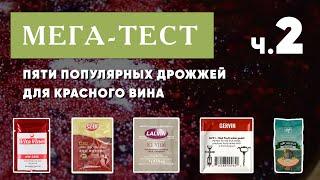 Мега-тест 5 популярных винных дрожжей для красного вина. Часть 2