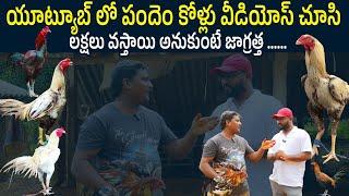 Pandem Kollu Farming Farmer Success Story | Sankranti Padenm Kollu | N5 Media