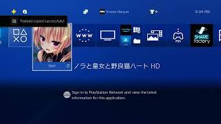 PS4 9.00-12.02 AutoHEN & Manual Jailbreak Restoring Backup 8