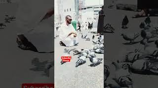 Mashallah subhanallah haram live ️