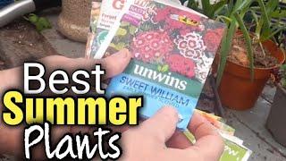 How to Grow 10 Best Summer Bedding Plants from Seed | Gardening for Beginners