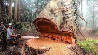 Dangerous Fastest Chainsaw Cutting Tree Skills | Biggest Heavy Equipment Machines Working