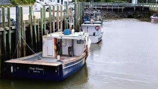 Why the Bay of Fundy Has Earned Its Place in the Record Books