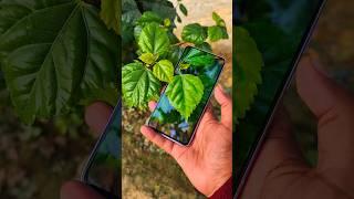 Samsung galaxy S21 Fe Camera testing and review. Outdoor unboxing. Flipkart sale offer