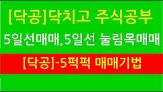 닥치고주식공부[닥공]-5퍽퍽 매매기법-5일선 눌림목 매매,5일선 매매