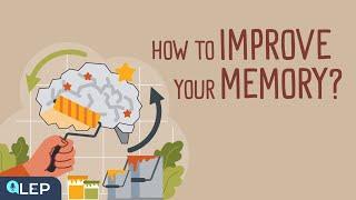 How to Improve Your Memory? |  Podcast and Chill | Beginner