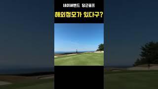 제20회 당근골프 해외정모~ 늑대와 여우들의 만남~^^ #당근골프 #해외정모