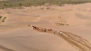 Climate change causes Russia sand dunes to sprout