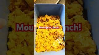 Quick and Easy! Mounjaro Weight Loss Lunch: Leftover Curry Hack!